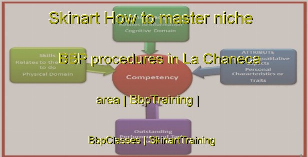 Skinart How to master niche BBP procedures in La Chaneca area | BbpTraining | BbpClasses | SkinartTraining-Mexico